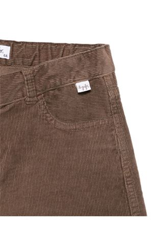 shorts in cotone marrone IL GUFO KIDS | A25GPB0003V6022183